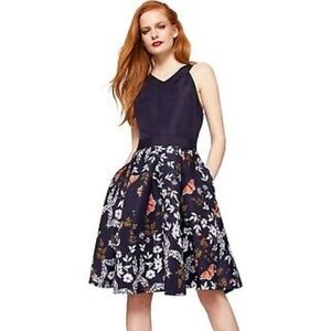 Ted Baker London Bethah Kyoto Fit & Flare Dress
